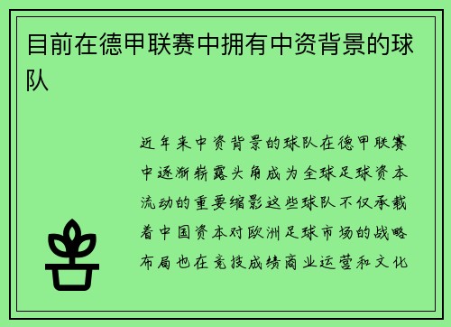 目前在德甲联赛中拥有中资背景的球队